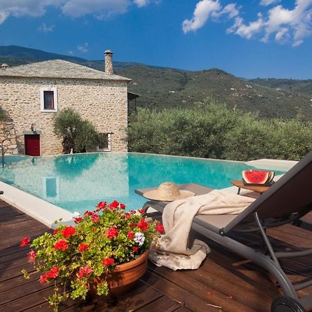 Villa Andromachi By Pelion Esties Ano Gatzea المظهر الخارجي الصورة