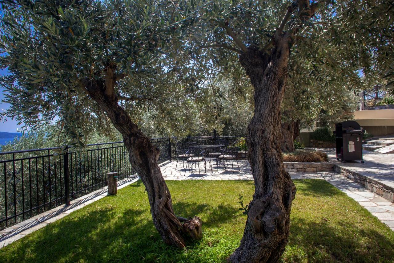 Villa Andromachi By Pelion Esties Ano Gatzea المظهر الخارجي الصورة